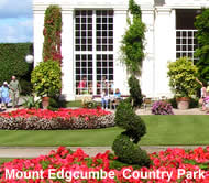 Mount Edgcumbe Gardens